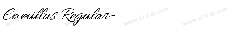 Camillus Regular字体转换